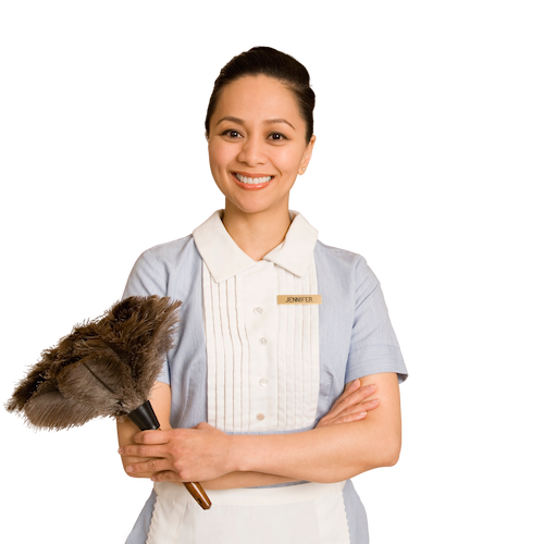 Cleaning Lady