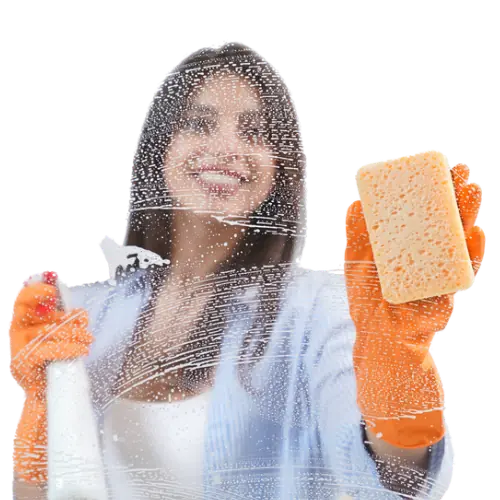 Cleaning Lady with Soap